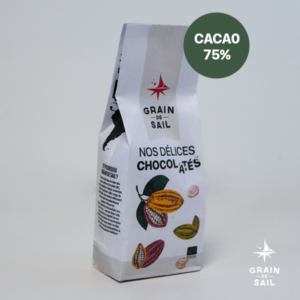 Sachet de 180 g de pistoles de chocolat - 75% de cacao - BIO